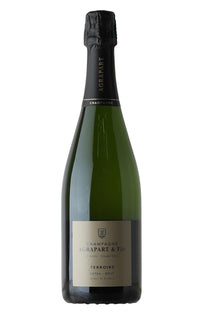 Champagne Agrapart & Fils, Terroirs, Blanc de Blancs, Grand Cru, Extra Brut (Disgorged May 2023)