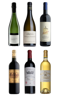 6-Bottle Curated Mixed Case – Special Offer